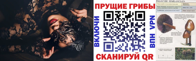 Псилоцибиновые грибы прущие грибы что такое наркотик Котовск